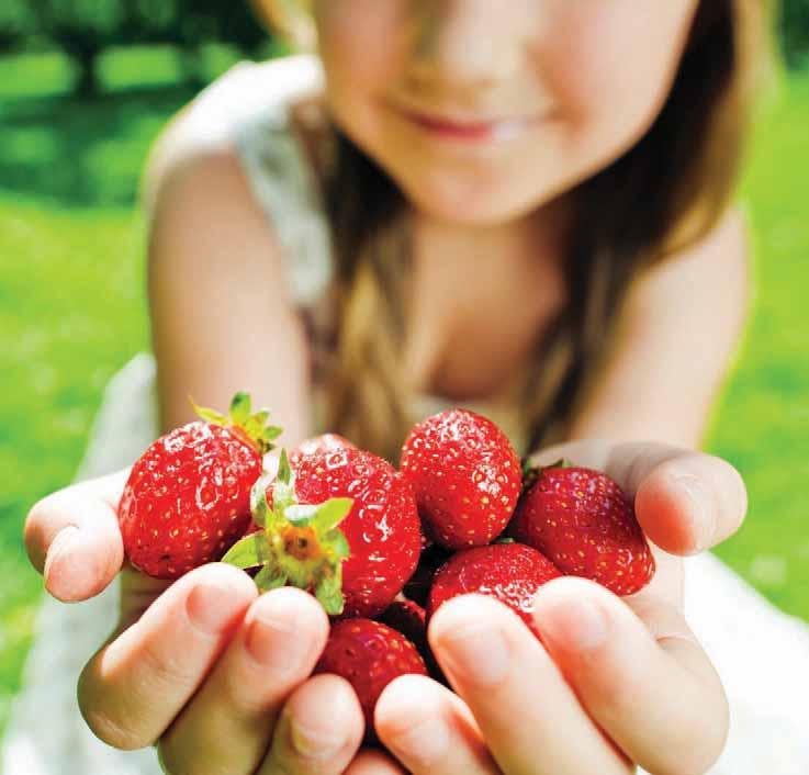 What s in your strawberries? Why are strawberries so irresistible?