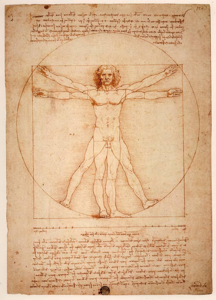 Leonardo da Vinci Den vitruvianske