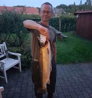 15.08.2017 14. august Kl. 20.30 Mepps str. 3 sølv fisket opstrøms 70cm. Lars Otte 12.08.2017 Havde den 9.