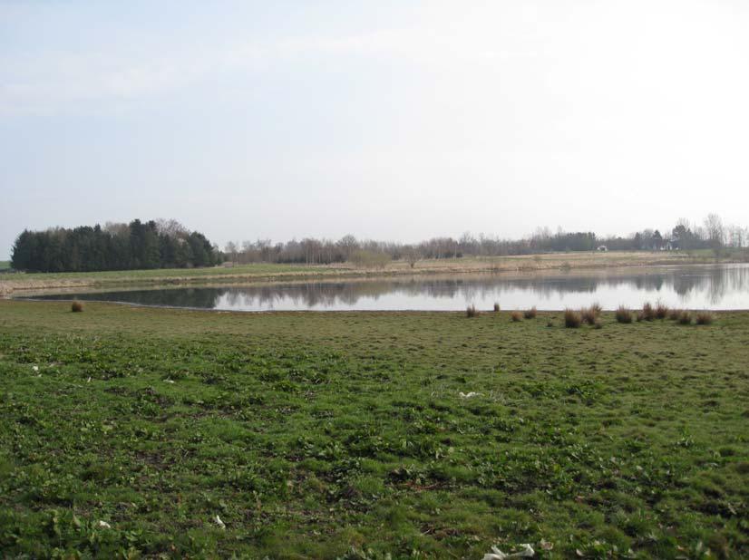 Områdebeskrivelse Natura 2000-området har et areal på 216 ha, og ligger ca. 10 km syd for Roskilde. Området ligger på begge sider af Langvad Å med en bredde op til 500 m og en længde på 5 km.