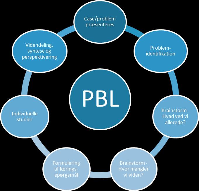 2.4 PBL i undervisningen Den cirkulære arbejdsproces i PBL-undervisningen Arbejdsprocessen i PBL består af bestemte trin og herudover indgår der simulationsøvelser i undervisningen. 2.4.1 Caseåbning Problemstillingen/casen præsenteres.