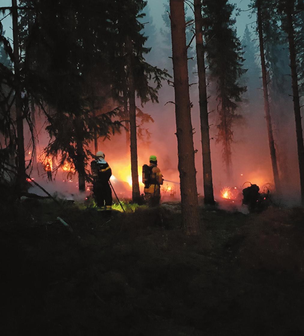 Frivillige fra Beredskabsstyrelsen og de kommunale brandvæsener deltog i slukningsarbejdet ved de omfattende skovbrande i Sverige i sommeren 2018. De danske brandfolk var indsat i området ved Ljusdal.