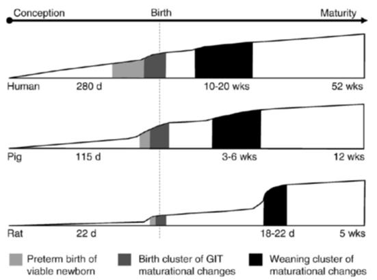 20 Paper I Bovine colostrum improves neonatal growth, digestive function and gut immunity relative to donor human milk or infant formula in preterm pigs. Stine O. Rasmussen, Lena Martin, Mette V.