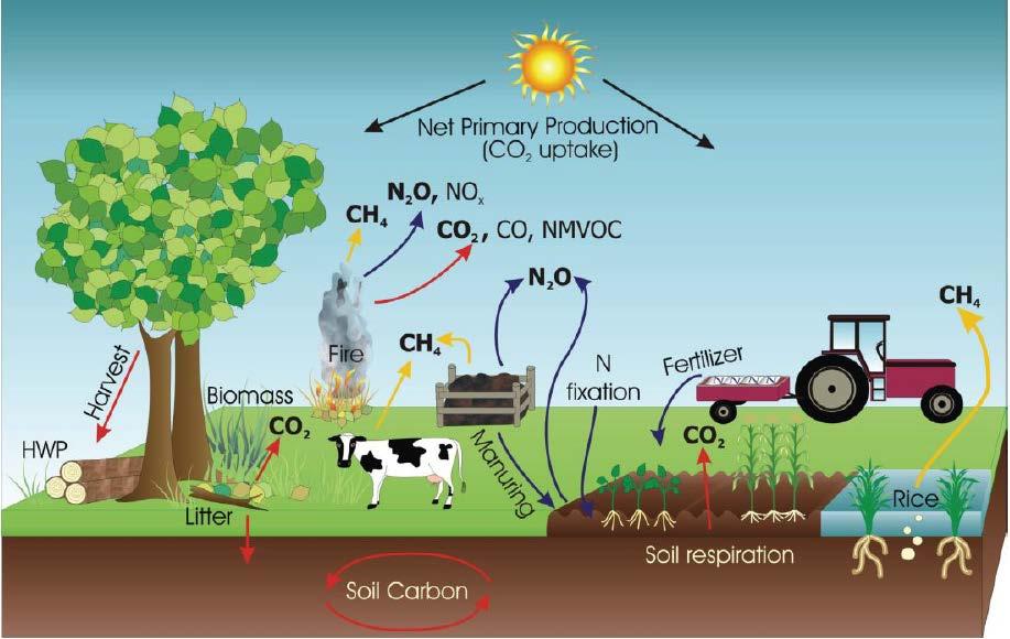 Løsninger på klimakrisen landbrugets