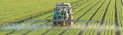 Grænseværdier: pesticider og metabolitter For pesticider i drikkevand: Politisk/morals grænseværdi (krav-værdi) på: 0.