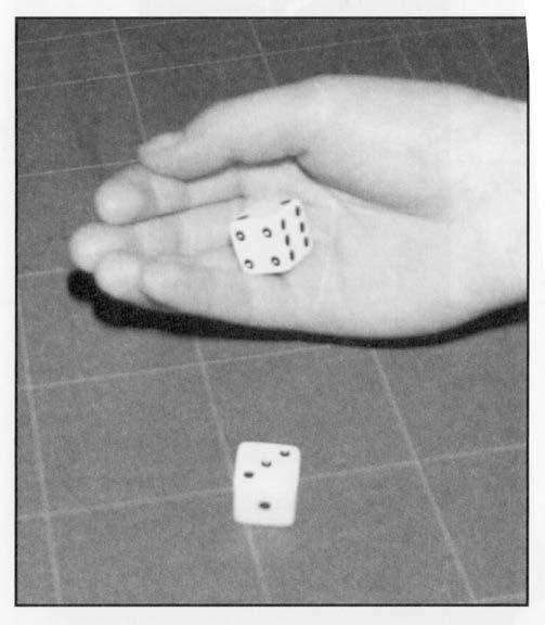 Amatørmodellering:Throwing dice Example 2 (Numeracy) Use the photograph to answer the following question: You roll two dice one after the other.