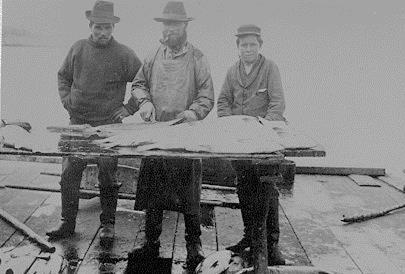 Et team bestod af "Headers", de skar hovedet af torsken og "Splitters", de fjernede indvolde og fileterede torsken og en Salter han saltede torskefileten.