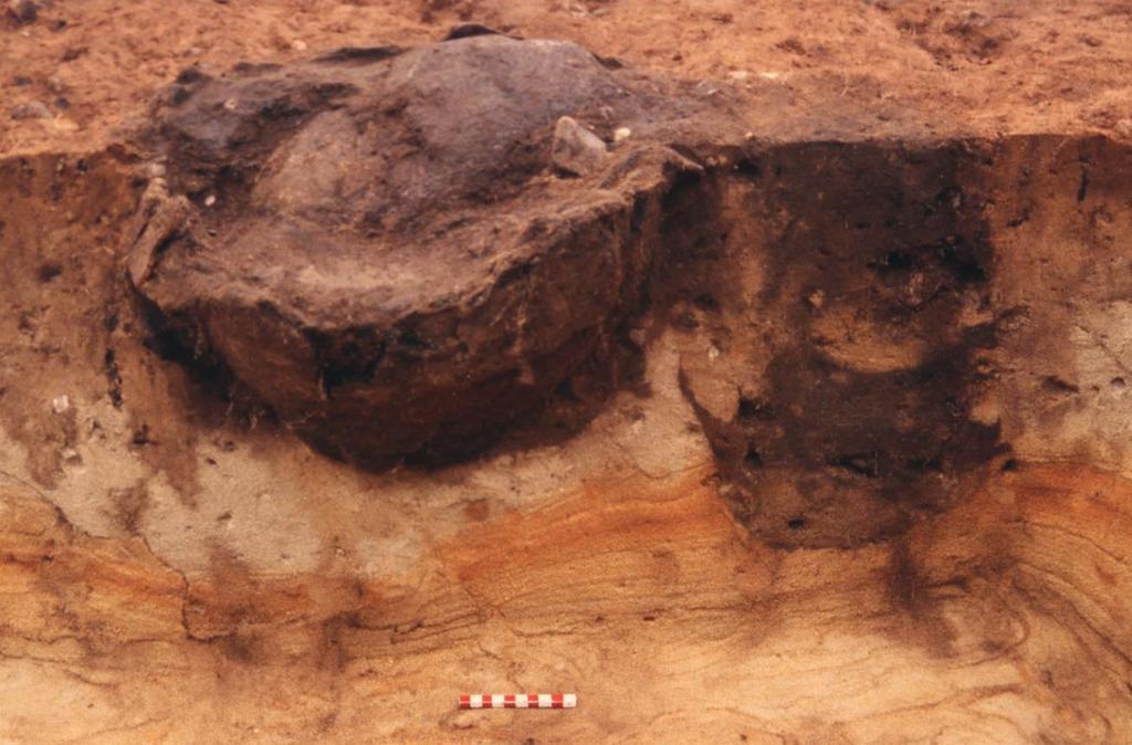 HEM 3360 Raghede I 7 Den største af kogegruberne (138), der er afbilledet i profil ovenfor, havde to adskilte stenlag og indeholdt mange skår, trækul, brændte knogler og en flækkekniv.
