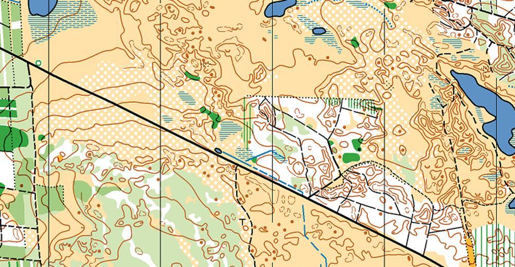 Sådan er Påskeløbsterrænerne, 3. etape - Stråsø Terrænet er lidt en gentagelse af de to forgående dage, den NV del er igen det lidt kedeligt plantageområde fra 1.