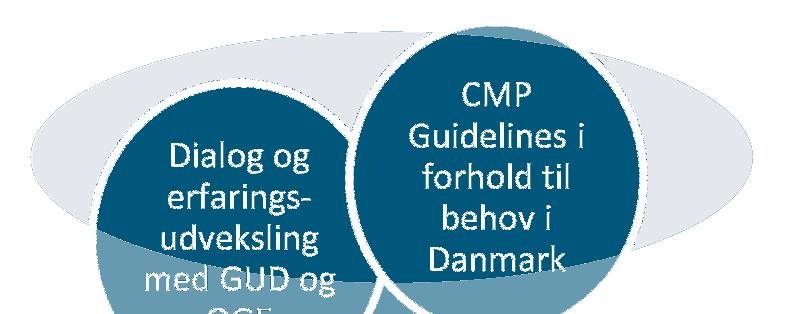 proces for CMP dk har afholdt en User Group den 11.
