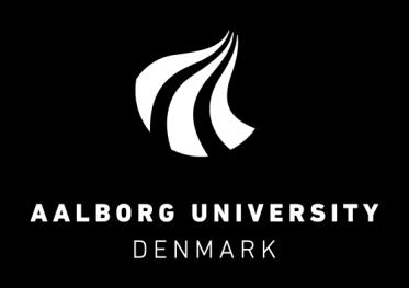 Studienævn for Industri og Global Forretningsudvikling Department of Materials and Production Fibigerstraede 16 9220 Aalborg East Denmark Contact person: R.
