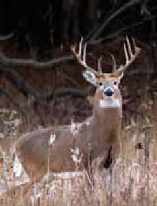 season; the addition of a new deer regulation set; and several deer management zone boundary changes.