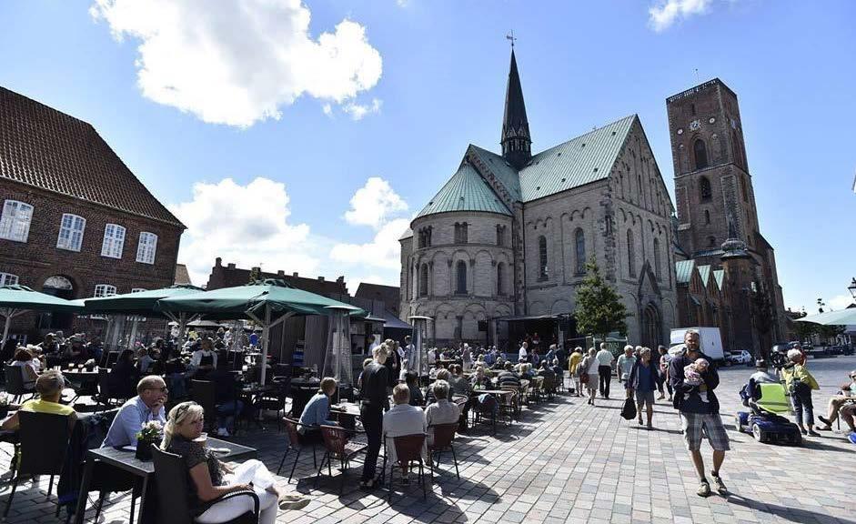5 KIRKEKONCERTER Ribe Domkirke og Sct. Catharinæ Kirke inviterer indenfor til flere koncerter i sommerens løb. Ribe Domkirkes sommerkoncerter afvikles kl. 11.00-11.