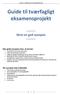 Guide til tværfagligt eksamensprojekt