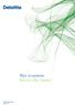Deloitte IT Solutions Marts 2013. Nyt it-system Succes eller fiasko?