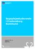 Sygeplejestuderende i Fredensborg Kommune