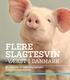 FLERE SLAGTESVIN - VÆKST I DANMARK. En analyse af vækstmuligheder i slagtesvinesektoren