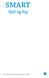SMART. Spil og leg. Smart Spil og leg Námsgagnastofnun 2011 9942