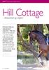 Hill Cottage. dressurstald og vingård