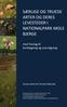 Rapport til bestyrelsen 13. november 2012. Rasmus Ejrnæs, Lars Dyhrberg Bruun, Lasse Werling, Morten DD Hansen FAGLIG RAPPORT TIL BESTYRELSEN