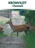 KRONVILDT. i Danmark
