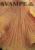 SVAMPE Foreningen til Svampekundskabens Fremme SVAMPE SVAMPE REDAKTIONEN