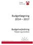 Budgetlægning 2014 2017