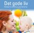 Det gode liv. Strategi for udvikling og specialisering. Handicap og Psykiatri, Silkeborg Kommune i samarbejde med Danske Handicaporganisationer