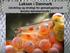 Laksen i Danmark Udvikling og strategi for genopbygning af danske laksebestande!