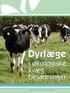 Dyrlæge i økologiske. kvæg besætninger. www.landscentret.dk/okokvaeg