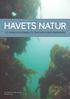 HAVETS NATUR. et oplæg til handleplan for Danmarks marine biodiversitet. Det Grønne Kontaktudvalg Oktober 2012. Foto: Jan Nicolaisen, Orbicon