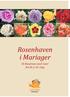 Rosenhaven i Mariager. Et Rosarium med roser fra Kr. f. til i dag