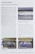 Facadernes sandsten. A f Katrine Eltang og Bo Kjeld Kierkegaard. T ilstan d en før restaureringen 2001-2009