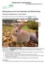 Information om at være kaninejer på Skolemarken.