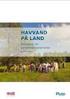 Klimatilpasningsplaner. Workshop Region Midtjylland. Ideer til: forudsætninger og rammer. Arne Bernt Hasling. Region Midtjylland