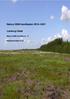 Natura 2000-handleplan Lønborg Hede. Natura 2000-område nr. 73. Habitatområde H196