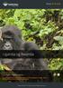 Uganda og Rwanda. Gorillaer i tågebjergene. Telefon