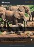 Kenya. Kenya safarirejse tilbud. Telefon Privat safari til Kenyas store nationalparker en klassiker med det bedste Kenya kan tilbyde!