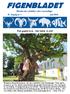 FIGENBLADET Bladet der dækker det væsentlige 45. Årgang nr. 2 juni 2018 Det gamle træ - det lader vi stå!