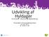Udvikling af Hyldager Et forstudie økonomi og støjhåndtering. Temamøde i Kommunalbestyrelsen 22. juni 2017 kl