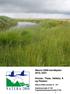 Natura 2000-handleplan Åmose, Tissø, Halleby Å og Flasken. Natura 2000-område nr. 157 Habitatområde H 138 Fuglebeskyttelsesområde F100