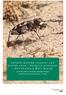 Varmekrævende insekter ved blottet sand i Basballe- projektet i Nationalpark Mols Bjerge