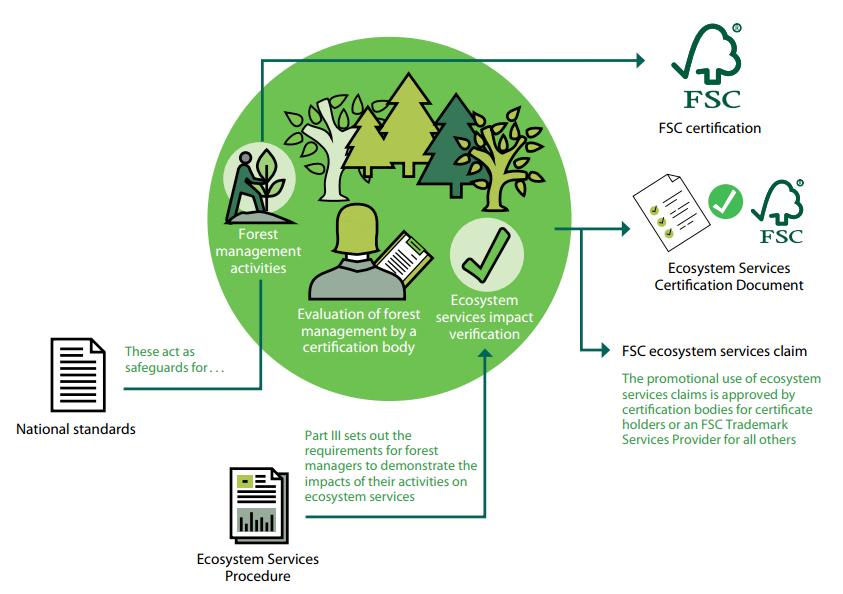 Som noget nyt får de FSC-certificerede skove nu mulighed for at demonstrere effekten på bevarelse af økosystemtjenester i det omfang, de kan identificeres og verificeres.