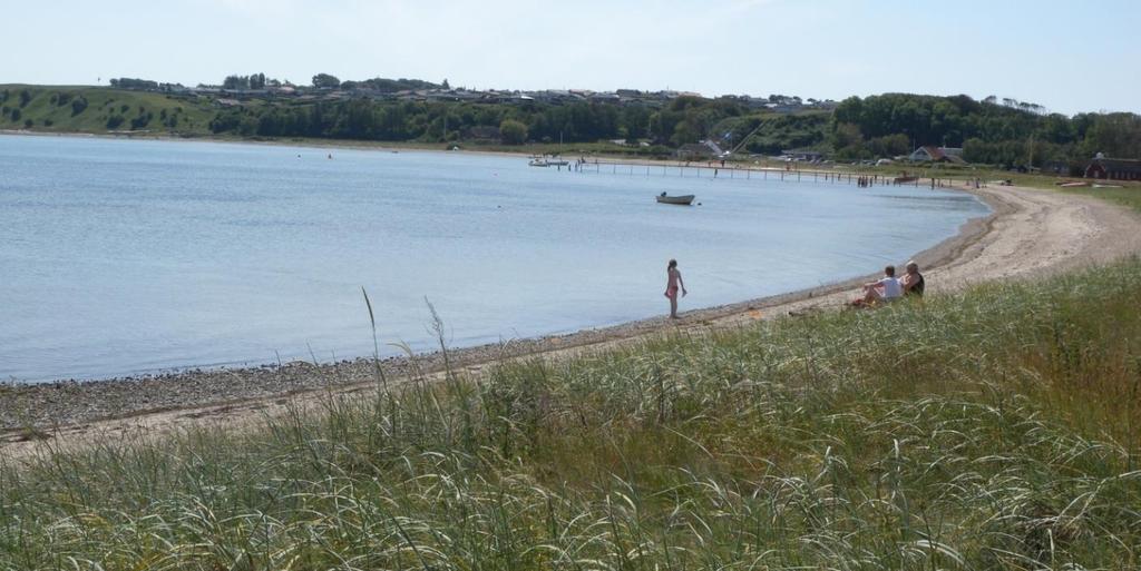 Stranden ved Gjellerodde Risiko for cyanobakterier (blågrønne alger) og fytoplankton Risikoen for opblomstring af blågrønne alger ved stranden er lav.