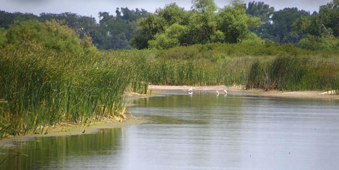 Past Recipients A ConocoPhillps project at Quivira National Wildlife Refuge in Kansas matched a small NAWCA grant to restore and enhance wetland habitat, which benefits many birds currently