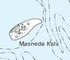 Masnedø Kalv Kommune: Vordingborg Lokalitetsnr: 397011 Lokalitetstype: Skov, strandeng Klassifikation: Ejer: Privat Dækning: UTM E: 684370 UTM N: 6096370 Delvis