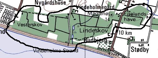 Vindeholme Skov Kommune: Rudbjerg Lokalitetsnr: 381005 Lokalitetstype: Skov Klassifikation: S2 Ejer: Privat Dækning: Y2 UTM E: 634900 UTM N: 6068800 Afvekslende løvskov. Ynglende pirol.