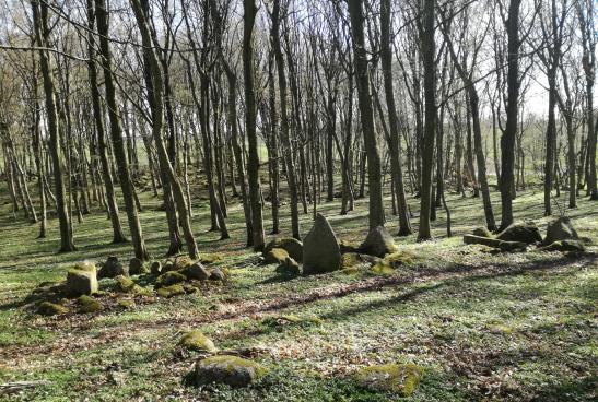 Skoven kan besøges på alle årstider, men de terrasseagtige oldtidsmarker opleves bedst i det tidlige forår.