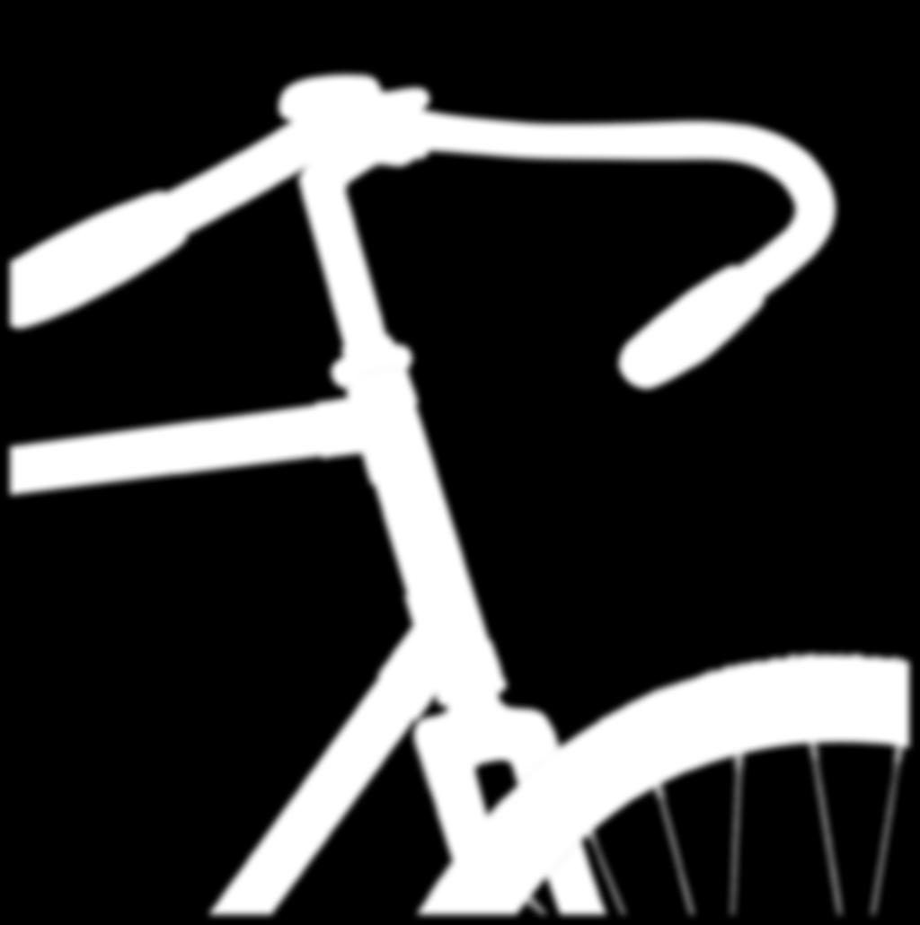 Tør du cykle her? Flere tusinde danskere melder ind med dystert billede:  Det er utrygt at cykle i cykellandet Danmark. - PDF Gratis download