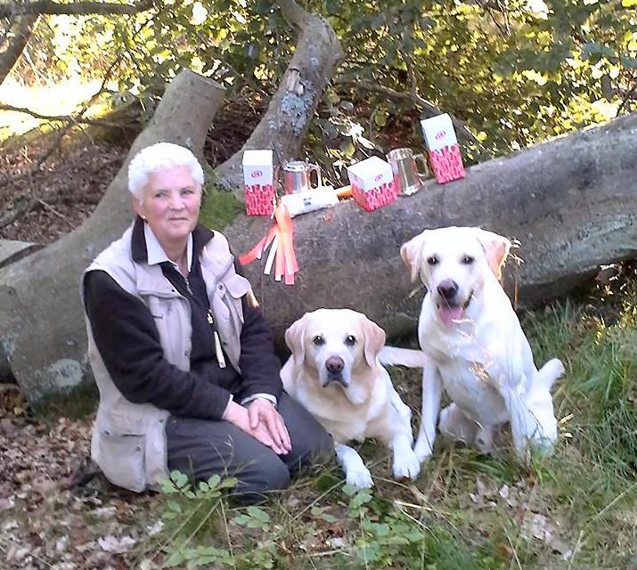 Vinder af Unghunde pokalen Lucky Labrador s Pinot Free
